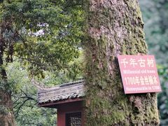 -凤栖山