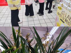 -大润发(梅兰东路店)