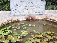 -深圳龙潭公园