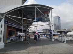 -悉尼海洋生物水族馆