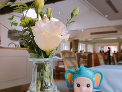 -蝶舍·MAISON PAPILLON