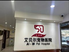 -艾贝尔宠物医院·24H转诊中心·肿瘤猫专科(江宁双龙店)