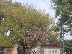 -嘉定紫藤园
