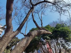 -西安创业咖啡街区