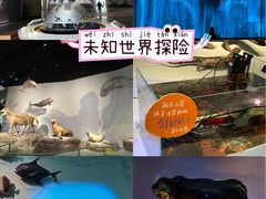 -中国湿地博物馆