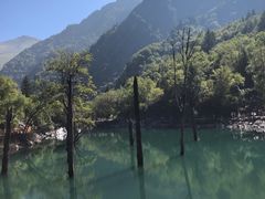 -叠溪松坪沟景区