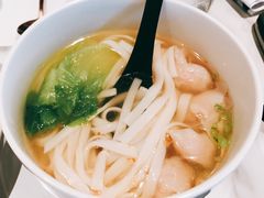 -MR鹅外
