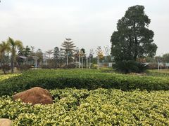 -荔湾区儿童公园
