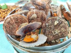 -京秀缘蒸汽海鲜农家菜大馅蒸饺