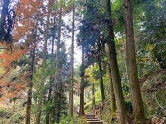 -莫干山风景区