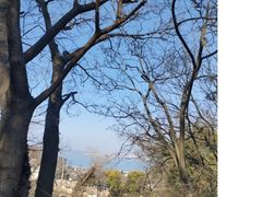 -巢湖姥山岛