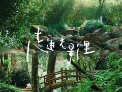 -火炉山森林公园