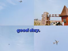 -空港花田景区