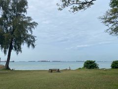 -东海岸人工湖美食村