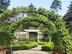 -南山植物园