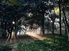 -杭州植物园