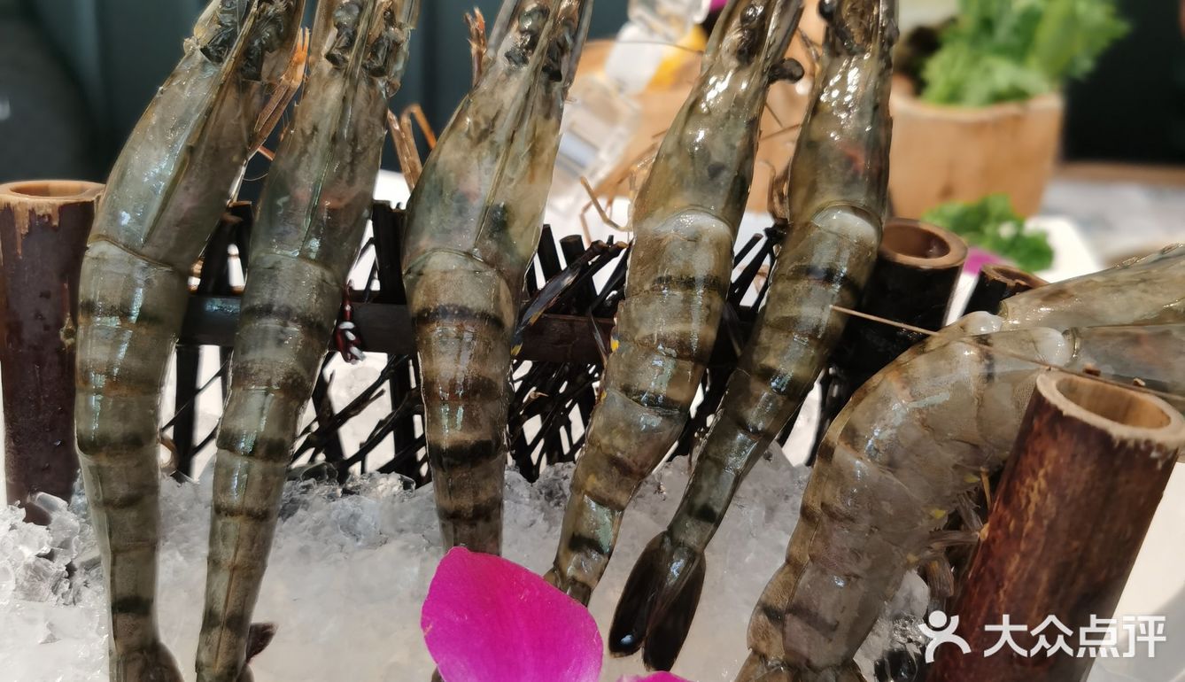 浓郁好喝的汤底 营养看得见的美味