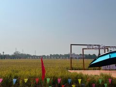 -武汉紫薇都市田园