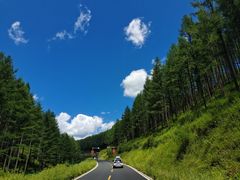 -塞罕坝国家级自然保护区