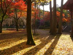 -醍醐寺