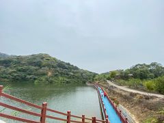 -黄埔油麻山森林公园