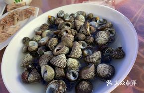 Snow Juice Mixed Snails