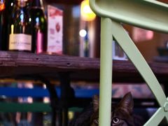 -SISTERS BAR RESTAURANT川意酒馆(嘉善老市H楼店)