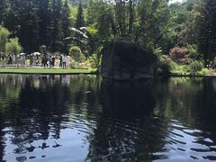 -深圳仙湖植物园