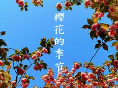 -苏州河梦清园环保主题公园