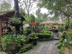 -青城甲(青城山店)