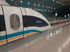 -龙阳路磁悬浮列车总站-停车场