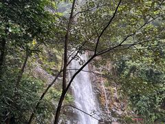 -鼎湖山风景区