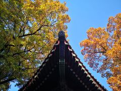 -香山公园