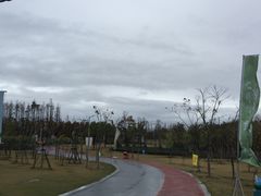 -上海长兴岛郊野公园