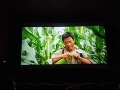 -华谊兄弟影院(IMAX洋桥店)