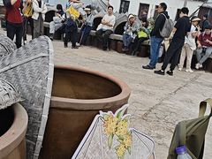 -苏州市吴中区光福窑上花果蜜饯厂