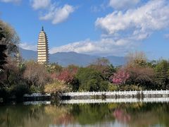 -三塔倒影公园