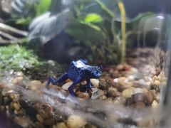 -暹罗海洋世界