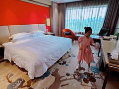 -南京维景国际大酒店(南京博物院店)