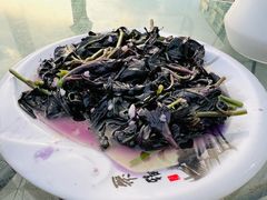 紫背天葵-潘先生海鲜城(神州半岛店)