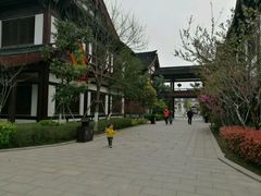 -东台西溪天仙缘景区