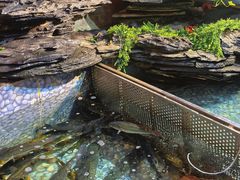 -山水茶艺馆·点心粤菜·30年老字号