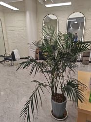 点击看大图 -慕名造型