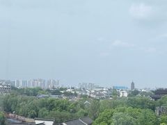 -顽啤熊·酒客酒馆(苏城夜景必选店)