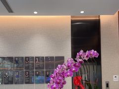 -TSK齿科德申会口腔门诊·联洋诊所