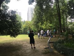 -苏州河梦清园环保主题公园