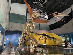 -湖南省地质博物馆