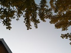-辽宁大学(崇山校区)