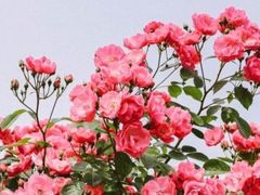 -幸福蓝海国际影城(IMAX全运村中央广场店)