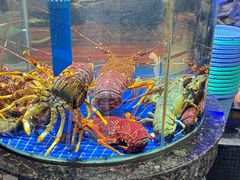 -侨美食家·40年地道粤菜(珠江新城店)